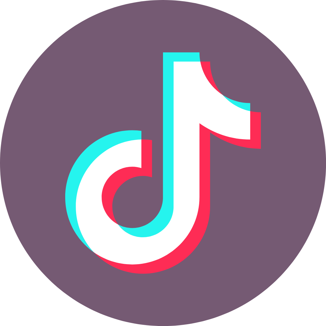 icon tiktok